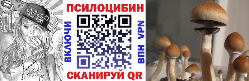 что такое наркотик  Бикин  Псилоцибиновые грибы ЛСД 